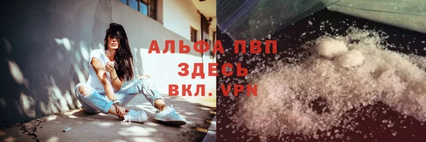 индика Михайловка