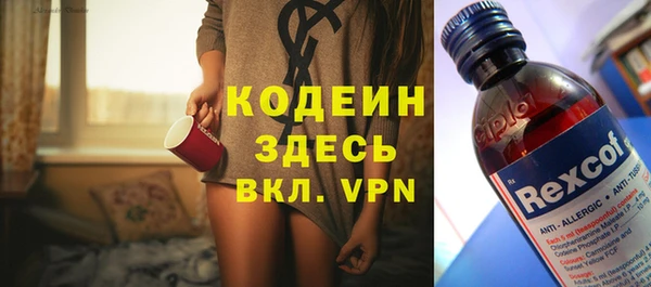 индика Михайловка