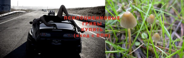 альфа пвп Шарыпово