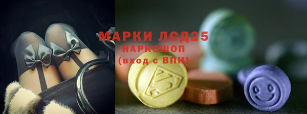 индика Михайловка