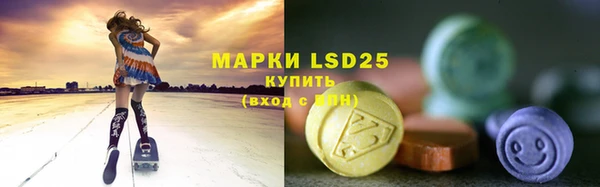 гидропоника Каменногорск