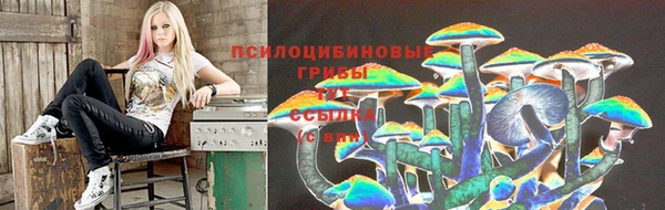 2c-b Михайловск