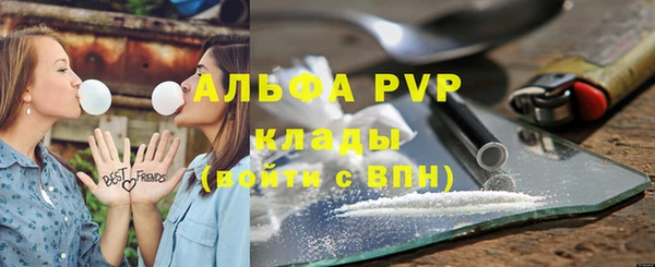 индика Михайловка