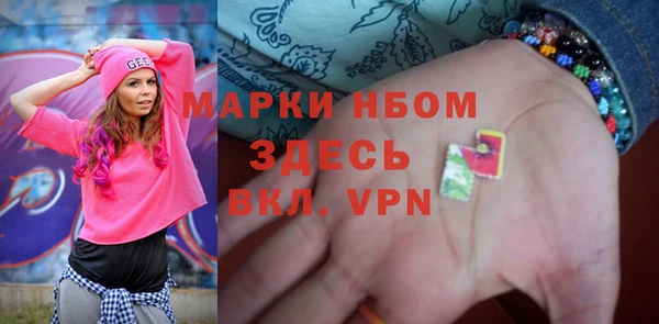 индика Михайловка