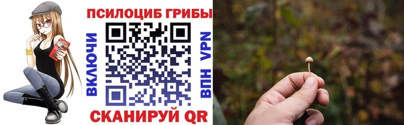 Псилоцибиновые грибы GOLDEN TEACHER Севастополь