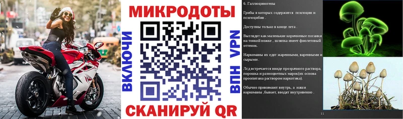 Псилоцибиновые грибы мухоморы  MEGA онион  Севастополь 