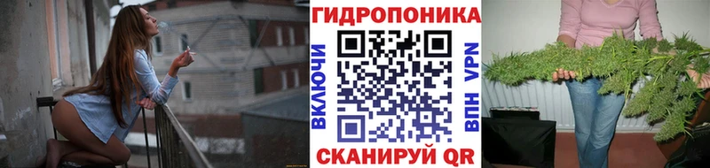 маркетплейс какой сайт  Севастополь  Канабис VHQ  наркошоп 